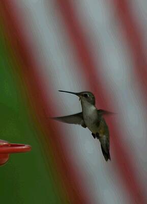 Clouds Royalty Free Images - Hummingbird Art 69 Royalty-Free Image by Lawrence Hess