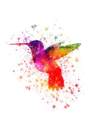 Birds Digital Art - Hummingbird in color by Aged Pixel