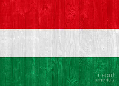 Meiklejohn Graphics Royalty Free Images - Hungary flag Royalty-Free Image by Luis Alvarenga