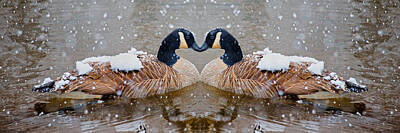 Birds Photos - I Heart You by Betsy Knapp