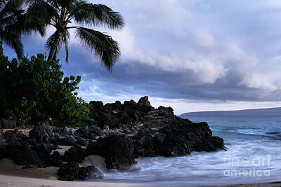 Rustic Cabin - I ke kai Hawanawana Eia kuu lei Aloha - Paako Beach Maui Hawaii by Sharon Mau