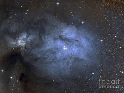 Lucky Shamrocks - Ic 4603 Is A Blue Reflection Nebula by Roberto Colombari