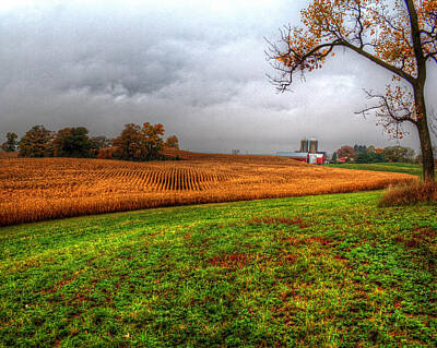 Curated Travel Chargers - Illinois Farmland I by Roger Passman