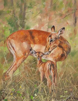 Mammals Paintings - Impala Antelop by David Stribbling