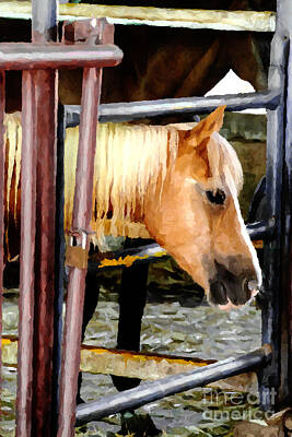 Impressionism Photo Royalty Free Images - Impressionist Horse Royalty-Free Image by Doc Braham