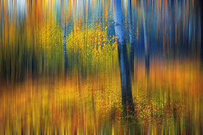 Impressionism Royalty-Free and Rights-Managed Images - In the Golden Woods. Impressionism by Jenny Rainbow
