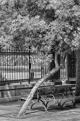 Cultural Textures - Jackson Square Bench And Tree by Jim Shackett