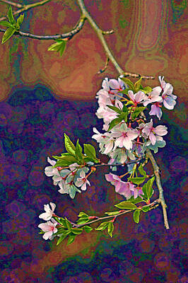 Studio Grafika Vintage Posters - Japanese Cherry Blossom Branch by Jerry Gammon