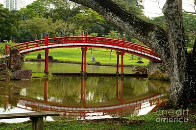 I Want To Believe Posters Rights Managed Images - Japanese Gardens red bridge and reflection in pond with tree Royalty-Free Image by Imran Ahmed