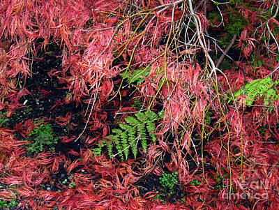 Abstract Animalia - Japanese Maples Leaves carpet the soil by Ellen Miffitt