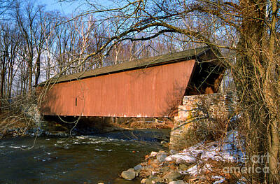 Lets Be Frank - Jericho Covered Bridge by Skip Willits