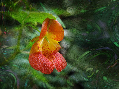 The Masters Romance Rights Managed Images - Jewelweed Royalty-Free Image by Melinda Fawver