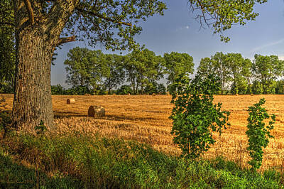 Frank Sinatra - Just After Harvest in West Mazury in Poland 2 by Julis Simo