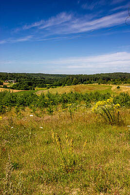 Wilderness Camping - Kaszuby Landscape by Pati Photography