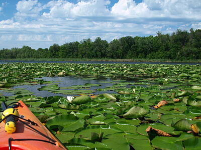 Childrens Solar System - Kayaking among the Waterlillies by James Peterson