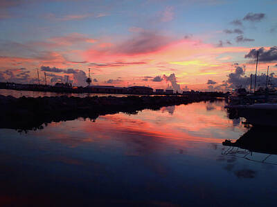Reptiles Photo Royalty Free Images - Key West Sunrise Royalty-Free Image by Carey Chen