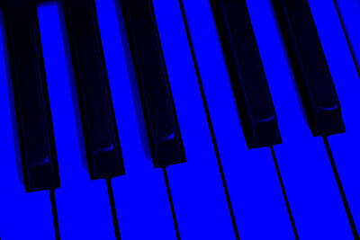 Jazz Photos - Keyboard Blues by Lone Palm Studio