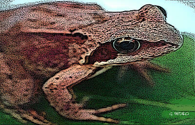 Maps Rights Managed Images - La Petite Grenouille Royalty-Free Image by George Pedro