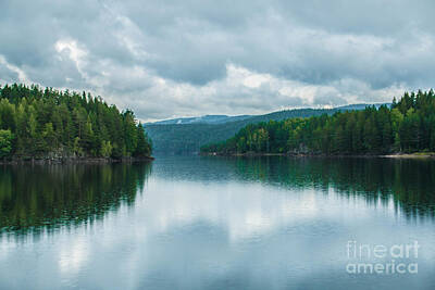 Bear Photography - Lake in Norway by Amanda Mohler