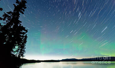 Mother And Child Paintings - Lake Laberge startrails Aurora borealis display by Stephan Pietzko