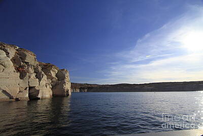 Target Project 62 Cacti Rights Managed Images - Lake Powell Beauty Royalty-Free Image by Bob Gagnon