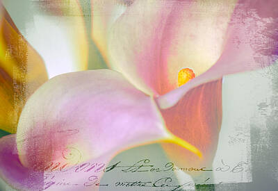 Abstract Ink Paintings In Color - Language of a Calla Lily by Julie Palencia