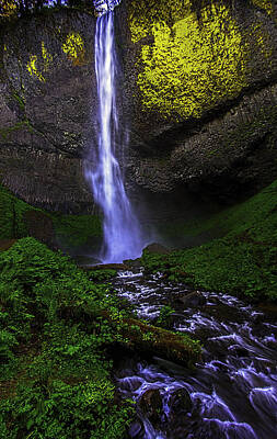 Lets Be Frank - Latourell Falls by Myer Bornstein