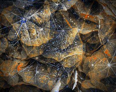 John William Waterhouse - Leafy Cosmos by Wayne Sherriff