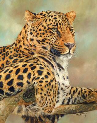 Best Sellers - Animals Painting Rights Managed Images - Leopard Royalty-Free Image by David Stribbling