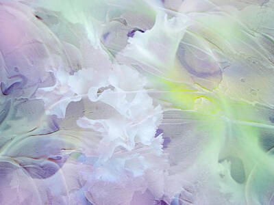 Abstract Flowers Photos - Light Touch of Tenderness. Petals Abstract by Jenny Rainbow