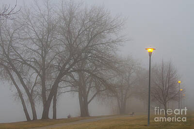 James Bo Insogna Royalty-Free and Rights-Managed Images - Lights and Fog Setting the Mood by James BO Insogna
