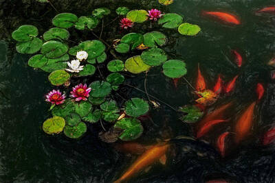 Lilies Digital Art - Lily 0147 - Acanthus SL by David Lange
