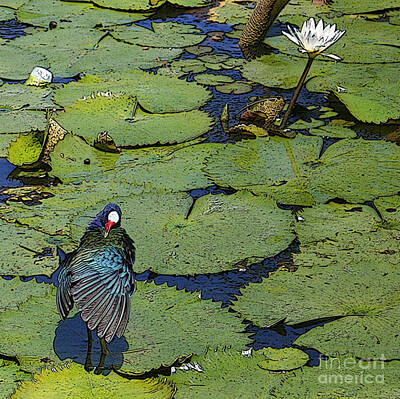 Lilies Digital Art - Lily Pad with Bird2 by Jacquelinemari