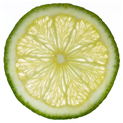 Aromatherapy Oils - Lime Slice by Steve Gadomski