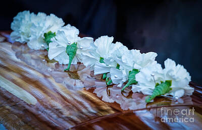 Vintage Signs - Lined Up Carnations by Mitch Johanson
