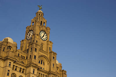 Kim Fearheiley Photography - Liver building at dusk by Paul Madden