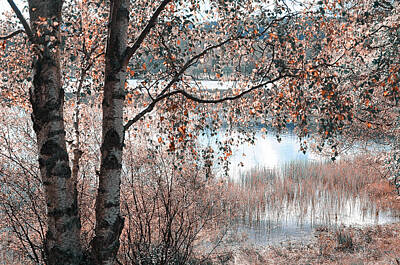 Moody Trees - Loch Achray. Nature in Alien Skin by Jenny Rainbow