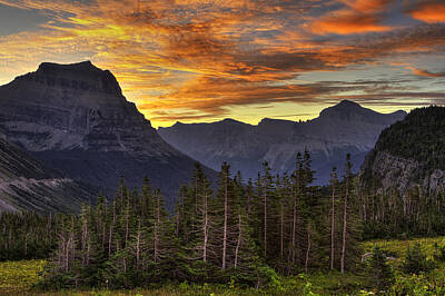 Birds Photo Rights Managed Images - Logan Pass Sunrise Royalty-Free Image by Mark Kiver