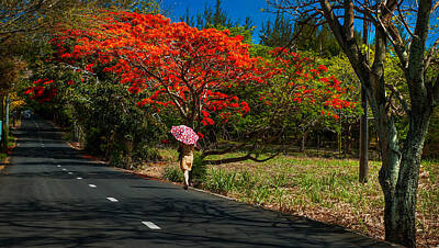 Animal Surreal - Long Way along the Road. Mauritius by Jenny Rainbow
