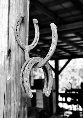 Word Signs - Lucky Horseshoes on Barn Wall by Rebecca Brittain