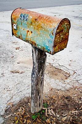 Abstract Animalia - Mailbox Dreams by Gary Richards