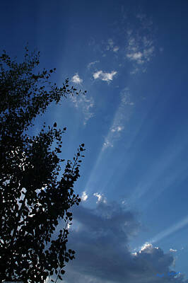 Surrealism Rights Managed Images - Majestic Sky and Aspen Royalty-Free Image by Mick Anderson