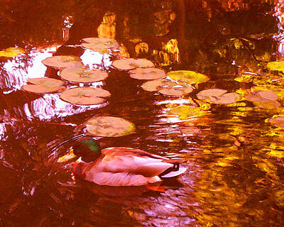 Celebrity Pop Art Potraits - Malard Duck on Pond 3 by Amy Vangsgard