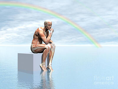 From The Kitchen - Male Musculature Sitting On A Cube by Elena Duvernay