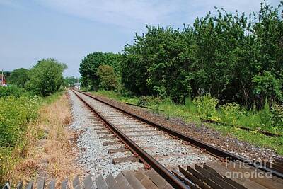 Abtracts Laura Leinsvencner - Marshlink line Rye by David Fowler
