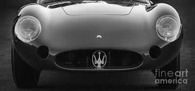 Sports Rights Managed Images - Maserati 300S Royalty-Free Image by Dennis Hedberg