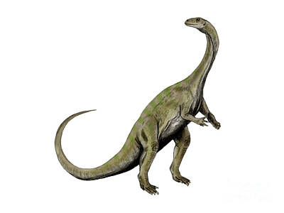 Latidude Image - Massospondylus Dinosaur by Nobumichi Tamura