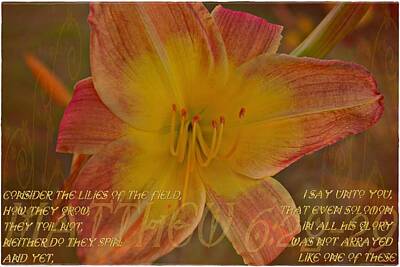 Lilies Digital Art - Matthew 6 2829 by Michelle Greene Wheeler