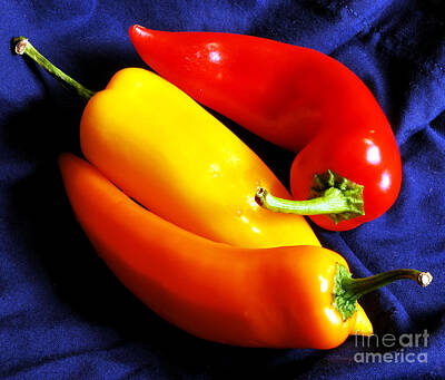 Whimsical Flowers Royalty Free Images - Menage a Trois Peppers IV Royalty-Free Image by Nancy Mueller