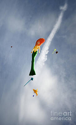 Amy Kirkpatrick Watercolor Hummingbirds - Mermaid On The Sky by Ang El